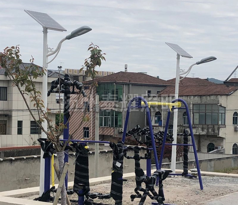 浙江绍兴太阳能庭院灯案例